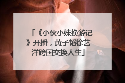 《小伙小妹换游记》开播，黄子韬徐艺洋跨国交换人生