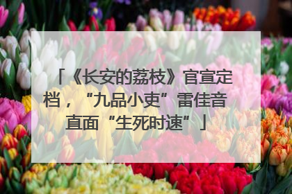 《长安的荔枝》官宣定档，“九品小吏”雷佳音直面“生死时速”