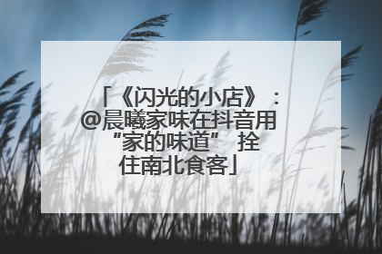 《闪光的小店》：@晨曦家味在抖音用 “家的味道” 拴住南北食客