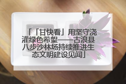 「甘快看」用坚守浇灌绿色希望——古浪县八步沙林场持续推进生态文明建设见闻