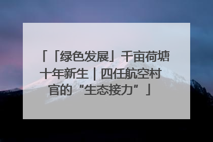 「绿色发展」千亩荷塘 十年新生｜四任航空村官的“生态接力”