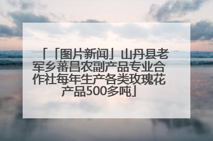 「图片新闻」山丹县老军乡蕃昌农副产品专业合作社每年生产各类玫瑰花产品500多吨