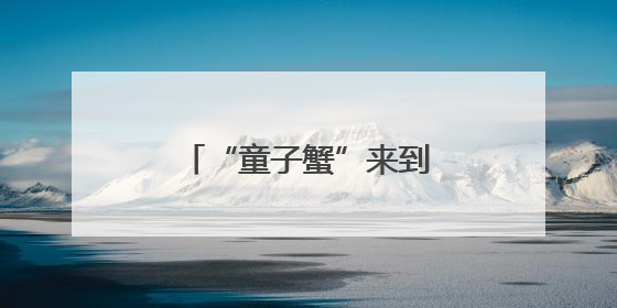 “童子蟹”来到厦门市场，专家支招如何挑选→