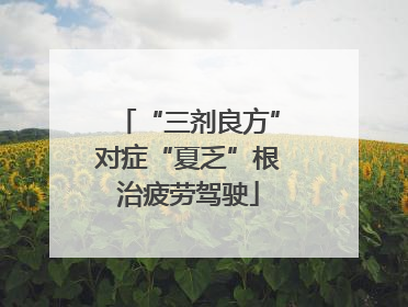 “三剂良方”对症“夏乏”根治疲劳驾驶