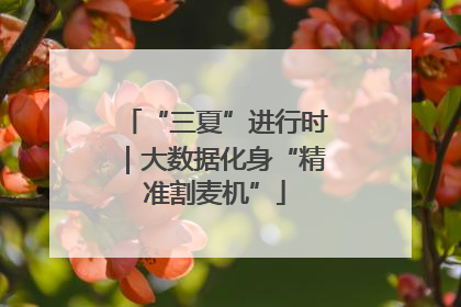 “三夏”进行时｜大数据化身“精准割麦机”