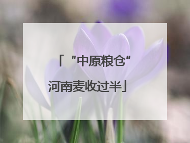 “中原粮仓”河南麦收过半