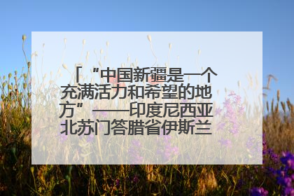 “中国新疆是一个充满活力和希望的地方”——印度尼西亚北苏门答腊省伊斯兰教代表团参访新疆