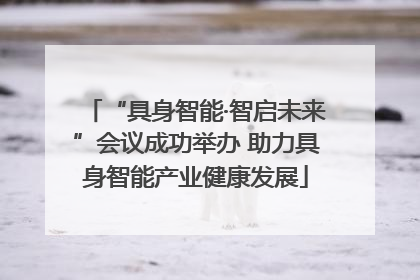 “具身智能·智启未来”会议成功举办 助力具身智能产业健康发展