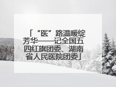 “医”路温暖绽芳华——记全国五四红旗团委、湖南省人民医院团委