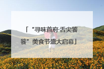 “寻味首府·舌尖饕餮”美食节盛大启幕