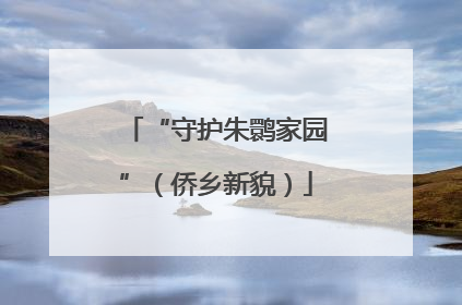 “守护朱鹮家园”（侨乡新貌）