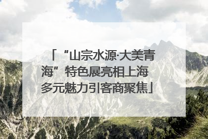 “山宗水源·大美青海”特色展亮相上海 多元魅力引客商聚焦