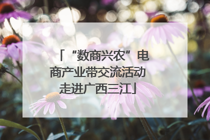 “数商兴农”电商产业带交流活动走进广西三江