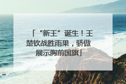 “新王”诞生！王楚钦战胜雨果，骄傲展示胸前国旗