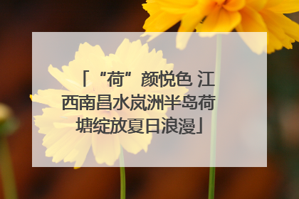 “荷”颜悦色 江西南昌水岚洲半岛荷塘绽放夏日浪漫