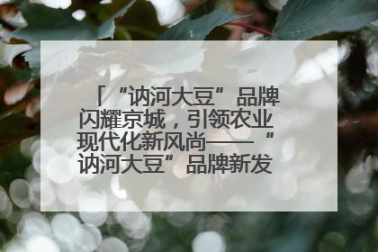 “讷河大豆”品牌闪耀京城，引领农业现代化新风尚——“讷河大豆”品牌新发地推介会圆满落幕