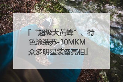 “超级大黄蜂”、特色涂装苏-30MKM 众多明星装备亮相