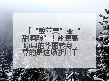 “酸苹果”变“甜酒酿”！盐源高原果的华丽转身，靠的是这场浙川千里“联姻”