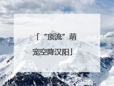 “顶流”萌宠空降汉阳