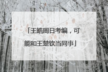 王皓周日考编，可能和王楚钦当同事