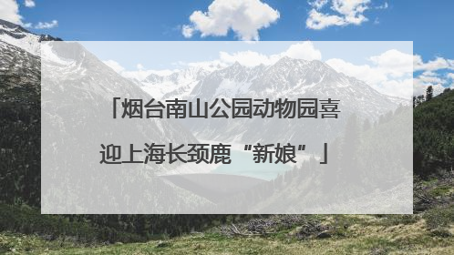 烟台南山公园动物园喜迎上海长颈鹿“新娘”