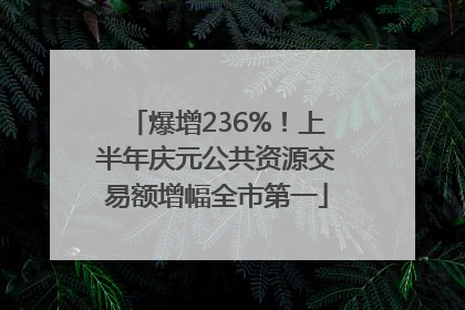 爆增236%！上半年庆元公共资源交易额增幅全市第一