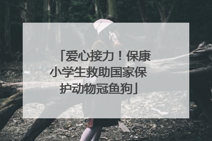 爱心接力！保康小学生救助国家保护动物冠鱼狗