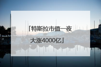 特斯拉市值一夜大涨4000亿