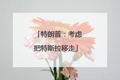 特朗普：考虑把特斯拉移走
