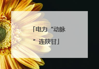 电力“动脉”连陕甘