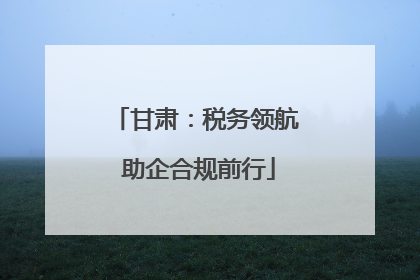 甘肃：税务领航 助企合规前行