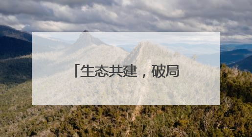 生态共建，破局出海！静安“全球服务商计划”赋能电商闯世界