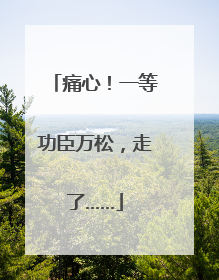 痛心！一等功臣万松，走了……