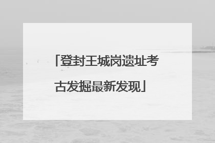 登封王城岗遗址考古发掘最新发现
