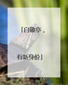 白敬亭，有新身份