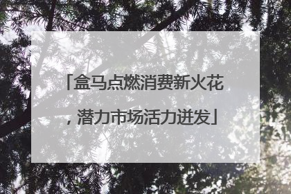 盒马点燃消费新火花，潜力市场活力迸发