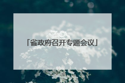 省政府召开专题会议