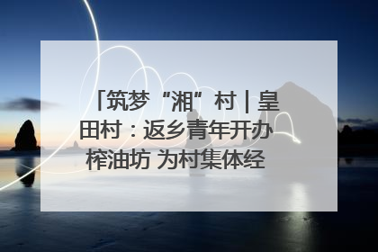 筑梦“湘”村｜皇田村：返乡青年开办榨油坊 为村集体经济“加油”