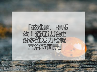 破难题、提质效！通辽法治建设多维发力绘就善治新图景