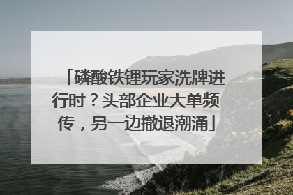磷酸铁锂玩家洗牌进行时？头部企业大单频传，另一边撤退潮涌
