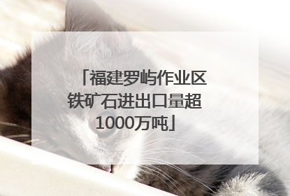 福建罗屿作业区铁矿石进出口量超1000万吨