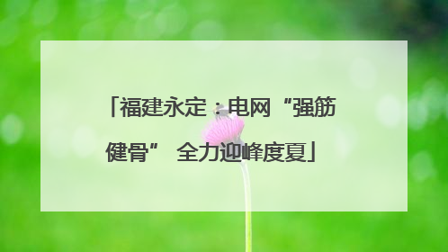 福建永定：电网“强筋健骨” 全力迎峰度夏