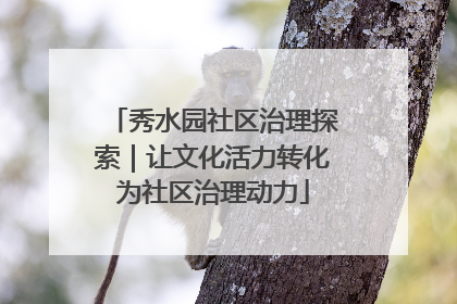 秀水园社区治理探索｜让文化活力转化为社区治理动力