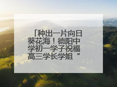 种出一片向日葵花海！德阳中学初一学子祝福高三学长学姐“一举夺魁”