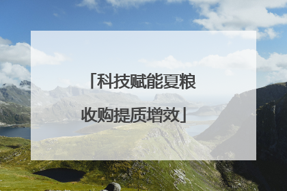 科技赋能夏粮收购提质增效