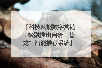 科技赋能数字营销，极融推出自研“苍龙”智能推荐系统