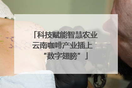 科技赋能智慧农业 云南咖啡产业插上“数字翅膀”