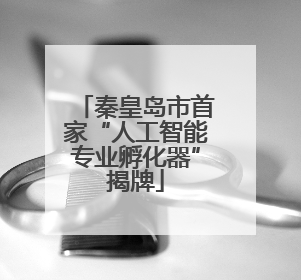 秦皇岛市首家“人工智能专业孵化器”揭牌