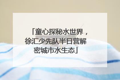 童心探秘水世界，徐汇少先队半日营解密城市水生态
