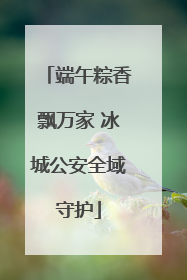 端午粽香飘万家 冰城公安全域守护